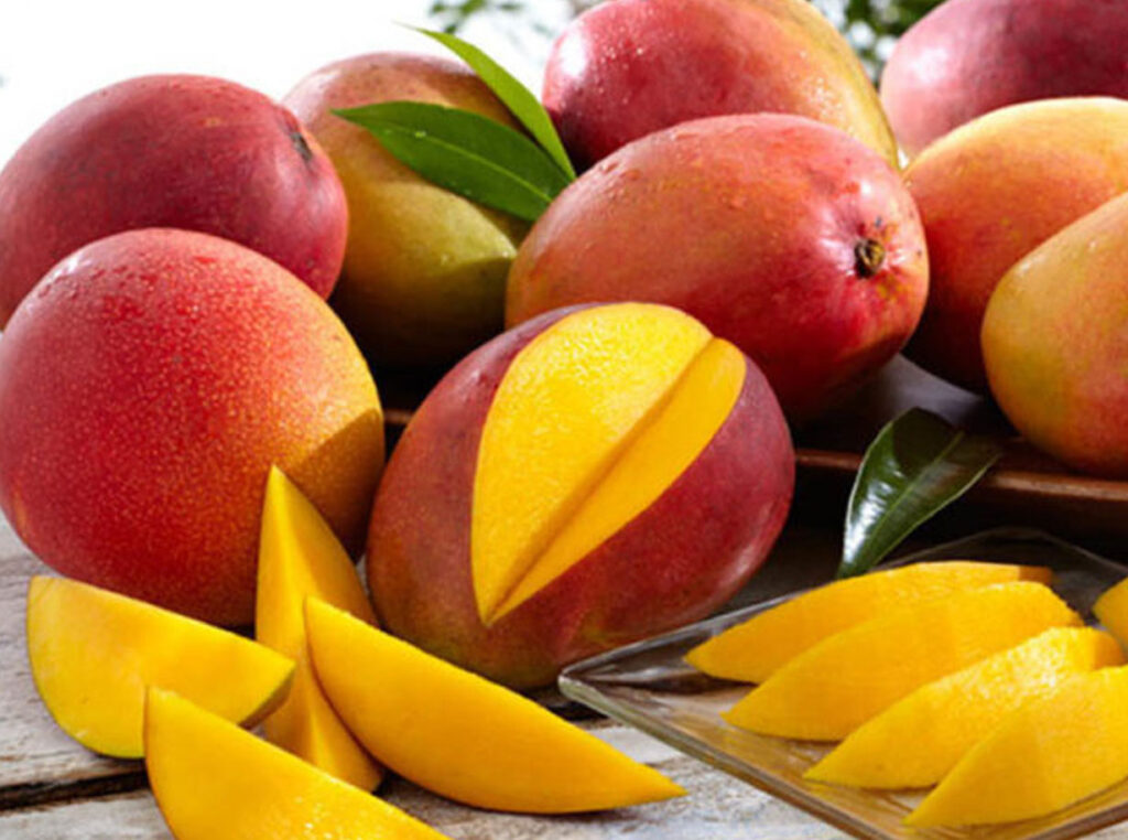 Mango | Mangifera indica