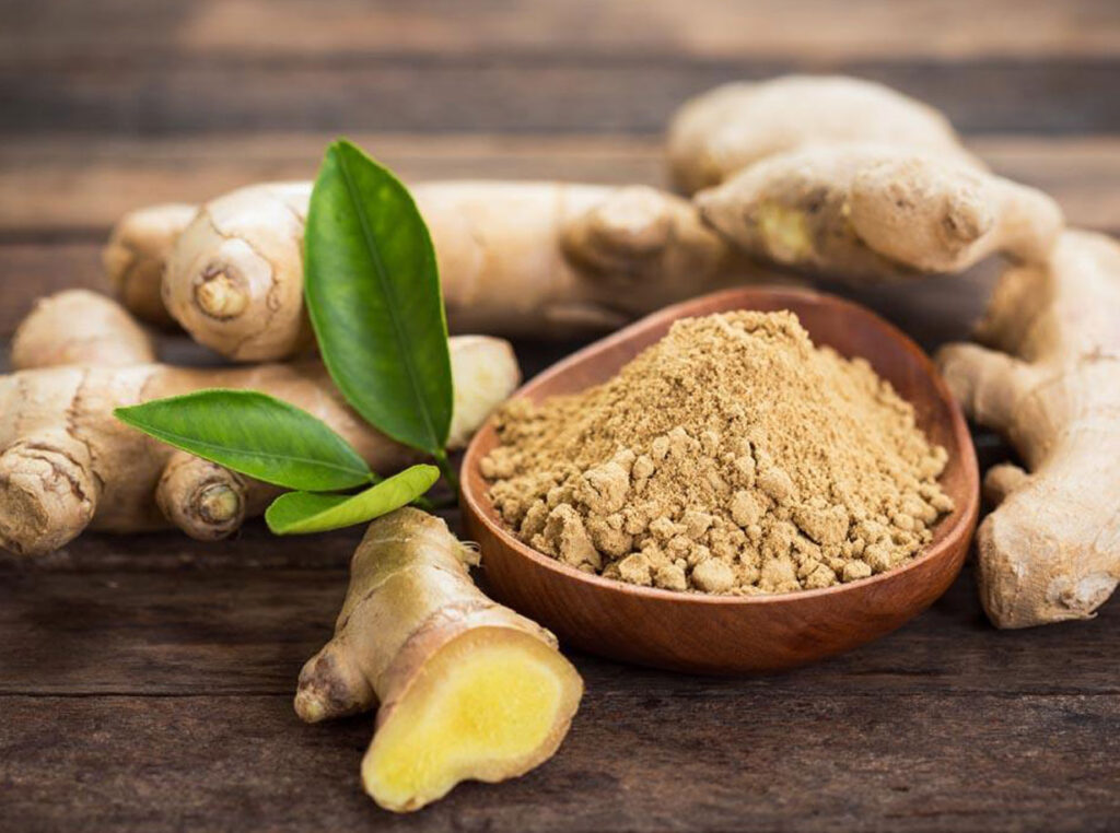 Zenzero | Zingiber officinale Roscoe. Juss.
