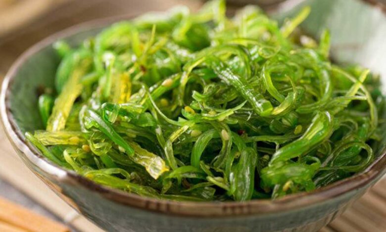 Wakame, Alga marina