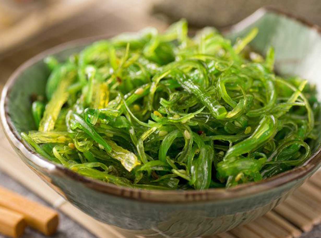 Wakame, Alga marina