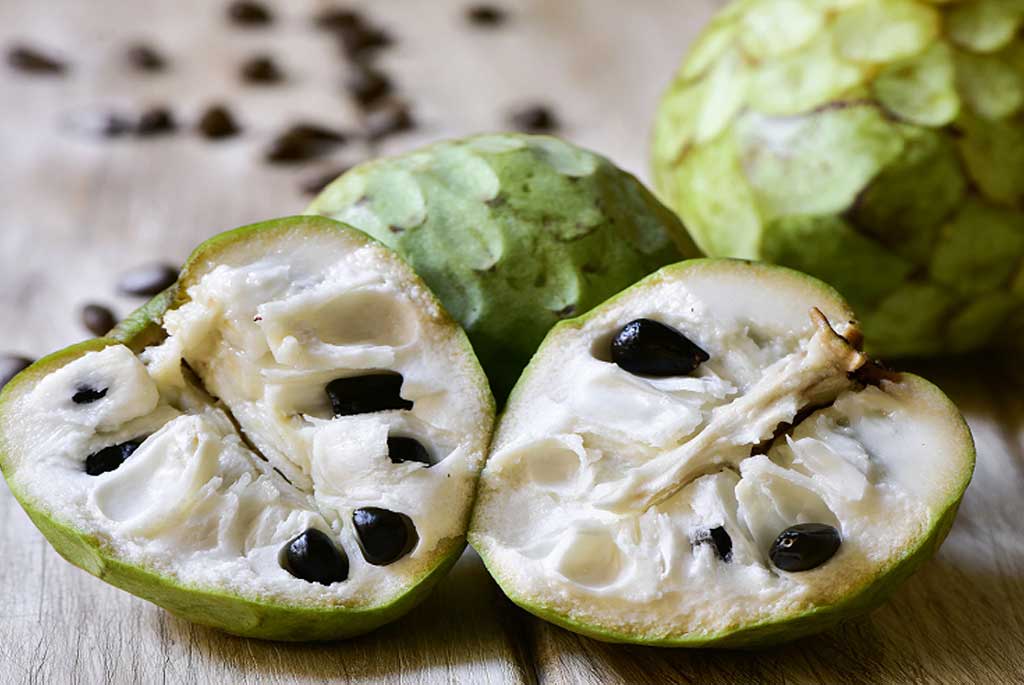 Pianta Di Annona Cherimola 'Fino De Jete' Autofertile Foto Reali H