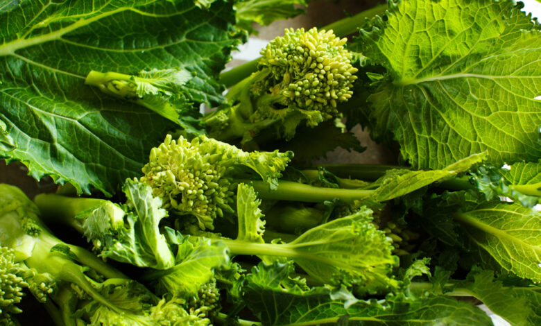 Broccoli, Cime di rapa, Friarielli, Broccoletti