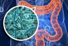 Nuovi postbiotici intestinali con attività su sistema immunitario e SNC