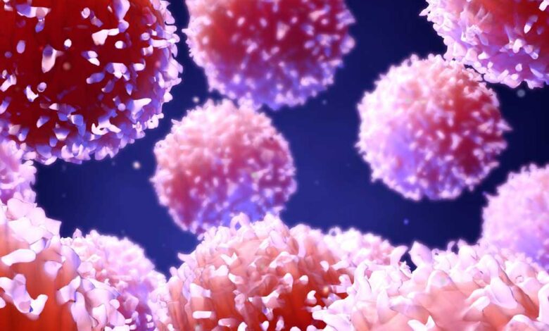 Cellule e mediatori della risposta infiammatoria