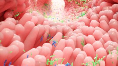 Come i batteri intestinali convertono gli alimenti in energia