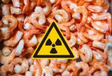 Continuano i ritiri dal mercato dei gamberetti radioattivi negli USA