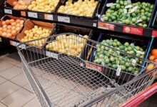 ISTAT - L’insicurezza alimentare in Italia - Anno 2024