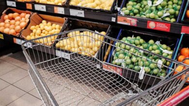 ISTAT - L’insicurezza alimentare in Italia - Anno 2024