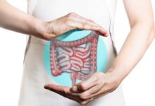 La cisteina alimentare migliora la staminalità intestinale
