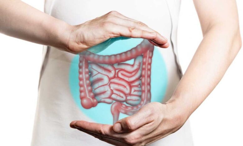 La cisteina alimentare migliora la staminalità intestinale