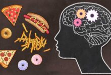 Scoperto l'interruttore nascosto nel cervello che spegne la fame