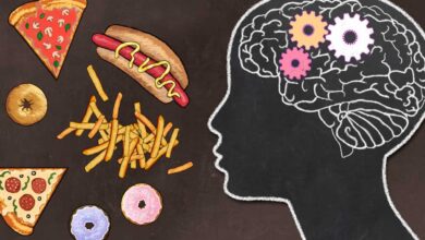 Scoperto l'interruttore nascosto nel cervello che spegne la fame
