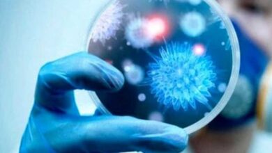Dalla ricerca italiana un anticorpo monoclonale contro il superbug Klebsiella pneumoniae, un batterio resistente agli antibiotici