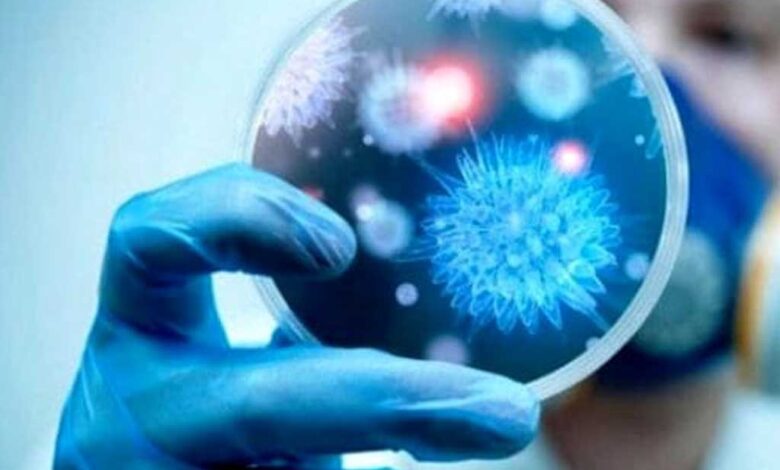 Dalla ricerca italiana un anticorpo monoclonale contro il superbug Klebsiella pneumoniae, un batterio resistente agli antibiotici