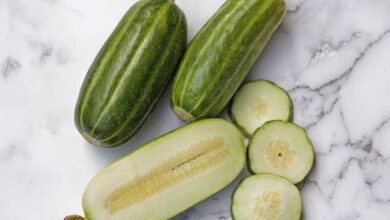 Carosello barattiere - Cucumis melo