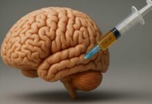 I farmaci GLP-1 agiscono sulle regioni cerebrali che controllano la fame