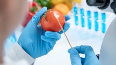 In aumento le contaminazioni alimentari in Italia