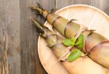 I germogli di bambù si stanno rivelando una sorprendente fonte di nutrienti