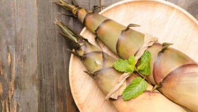 I germogli di bambù si stanno rivelando una sorprendente fonte di nutrienti