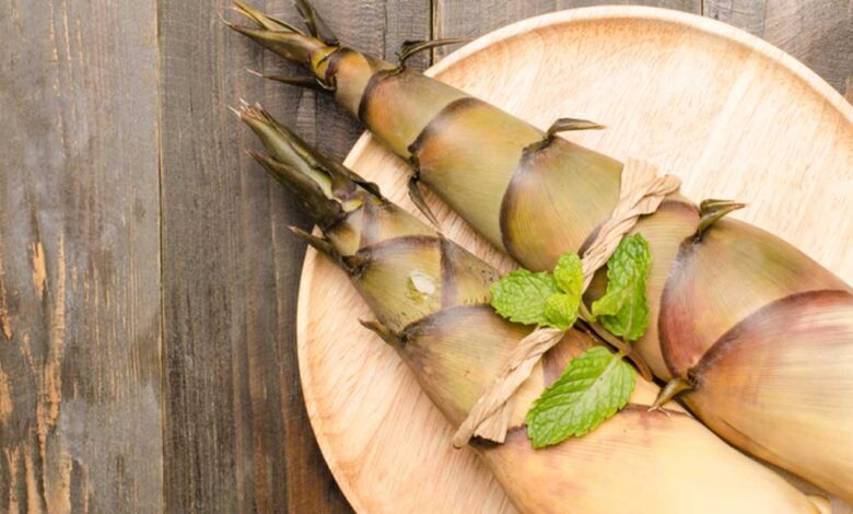 I germogli di bambù si stanno rivelando una sorprendente fonte di nutrienti