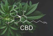 Il cannabidiolo (CBD)