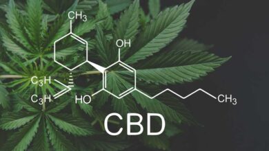 Il cannabidiolo (CBD)