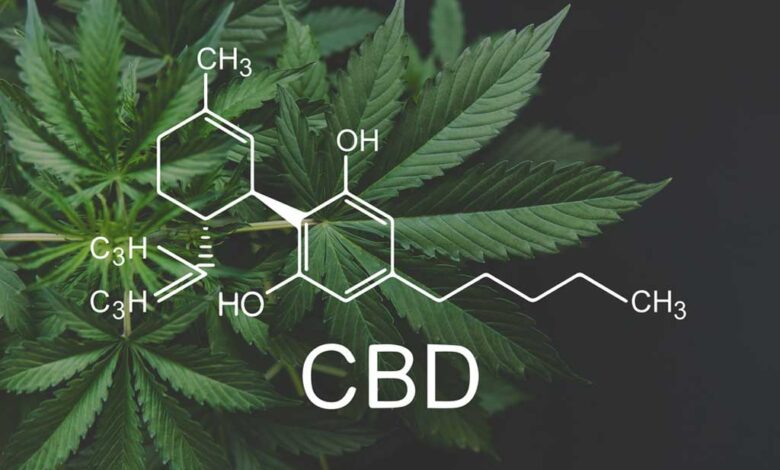 Il cannabidiolo (CBD)