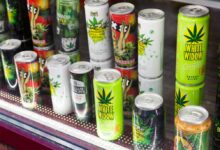 Bevande a base di cannabis o Hemp Drinks