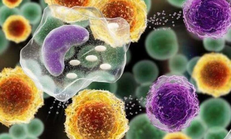 Identificato un enzima finora sconosciuto di cui il corpo ha bisogno per produrre grasso