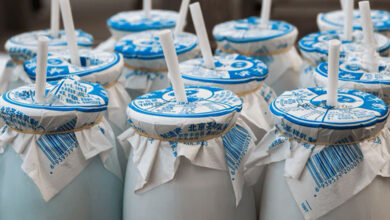 Il cosiddetto “yogurt cinese”