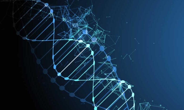 Le cellule staminali dei melanociti (McSC) reagiscono a diversi tipi di danno al DNA.