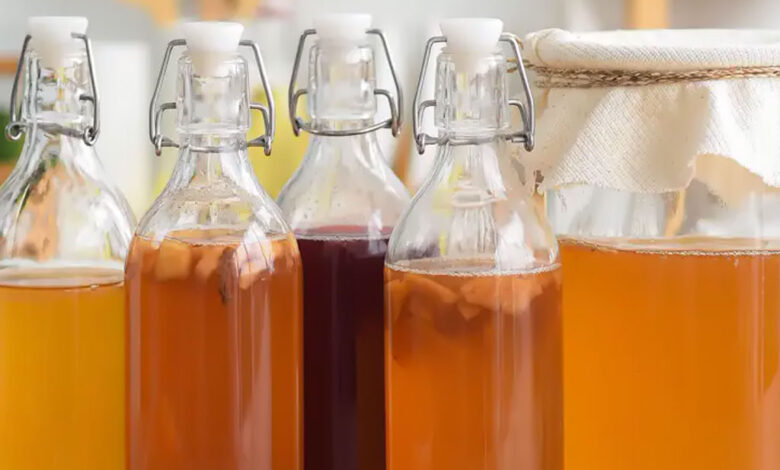 Le bevande fermentate – cosa sono, quali sono, perché il loro consumo è in forte crescita