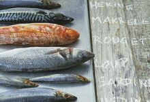 Secondo l’EFSA, i consumatori UE sono poco consapevoli circa le linee guida sul consumo di pesce e mercurio.