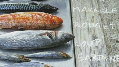 Secondo l’EFSA, i consumatori UE sono poco consapevoli circa le linee guida sul consumo di pesce e mercurio.