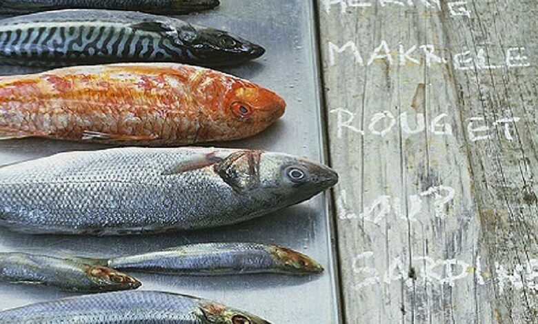 Secondo l’EFSA, i consumatori UE sono poco consapevoli circa le linee guida sul consumo di pesce e mercurio.