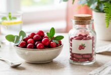 Considerazioni sugli integratori a base di mirtillo rosso nelle infezioni urinarie