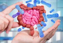 Ruolo dei batteri nel microbiota intestinale umano