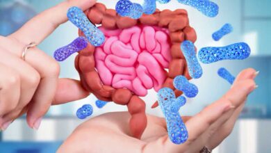 Ruolo dei batteri nel microbiota intestinale umano