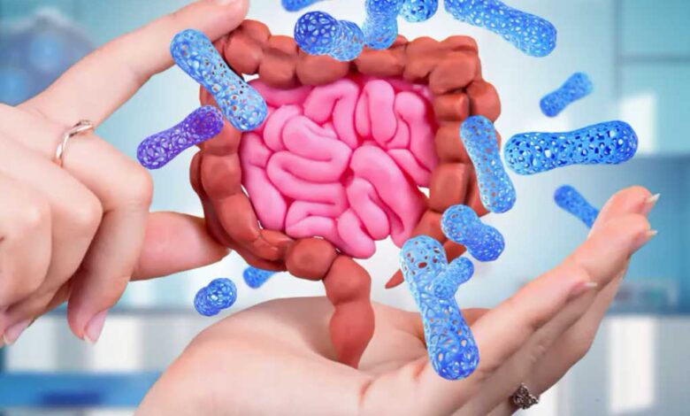 Ruolo dei batteri nel microbiota intestinale umano