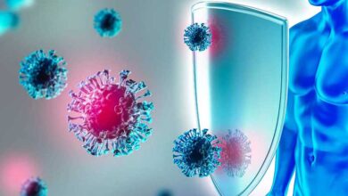 Eliminare le cellule immunitarie "zombie" potrebbe invertire il decorso della steatosi epatica e, potenzialmente, rallentare l'invecchiamento