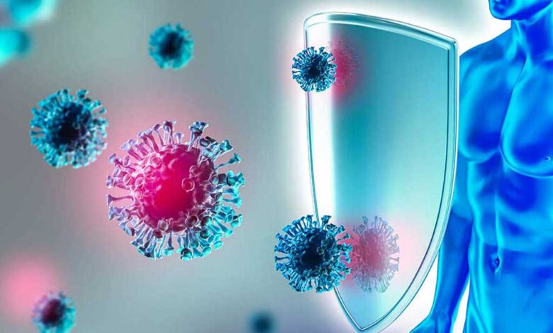 Eliminare le cellule immunitarie "zombie" potrebbe invertire il decorso della steatosi epatica e, potenzialmente, rallentare l'invecchiamento