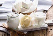 Fermentazione lattica