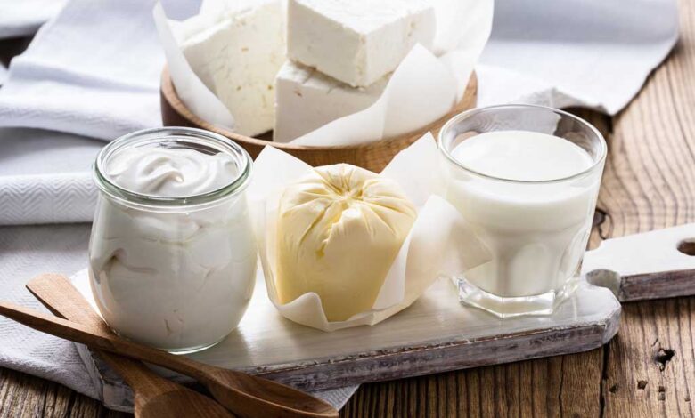 Fermentazione lattica
