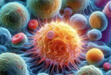 I retrovirus endogeni umani