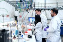 La celiacasi, una molecola creata in laboratorio, neutralizza i peptidi tossici del glutine nello stomaco