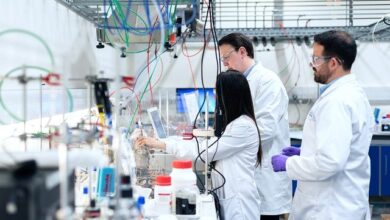 La celiacasi, una molecola creata in laboratorio, neutralizza i peptidi tossici del glutine nello stomaco