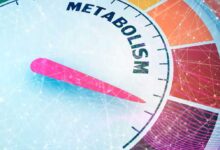 Scoperta una proteina chiave nel metabolismo dei grassi
