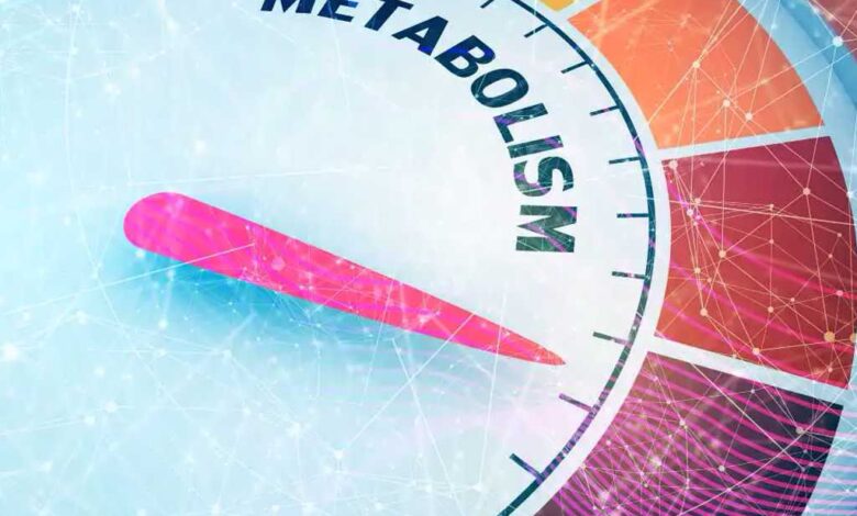 Scoperta una proteina chiave nel metabolismo dei grassi