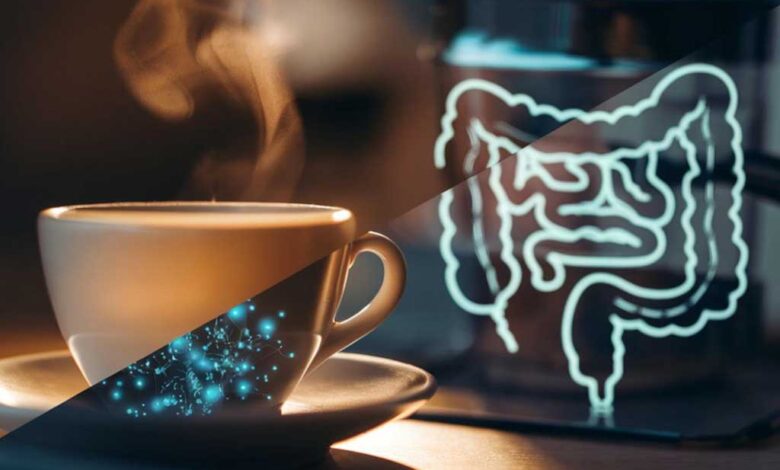 Bere regolarmente caffè può modellare il microbiota intestinale e influenzare l'umore e lo stress.
