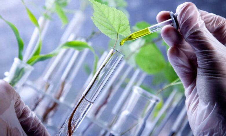 Approvato dal Parlamento europeo il nuovo regolamento sulle piante ottenute con le nuove tecniche genomiche